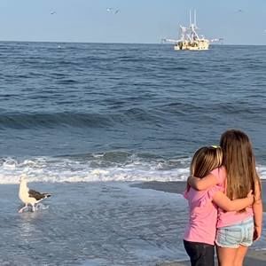 Meet your Posher, Tommy